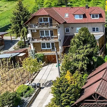 Apartment Luka